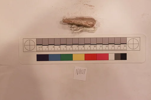 Stucco Fragment