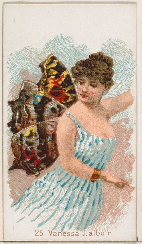Card 25, Vanessa J. Album, from the Butterflies series (N183) issued by Wm. S. Kimball & Co. — Julius Bien|William S. Kimball & Company