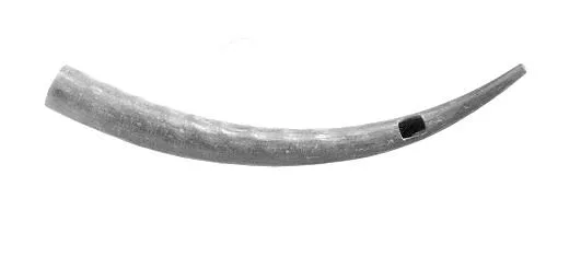 Horn — Unknown