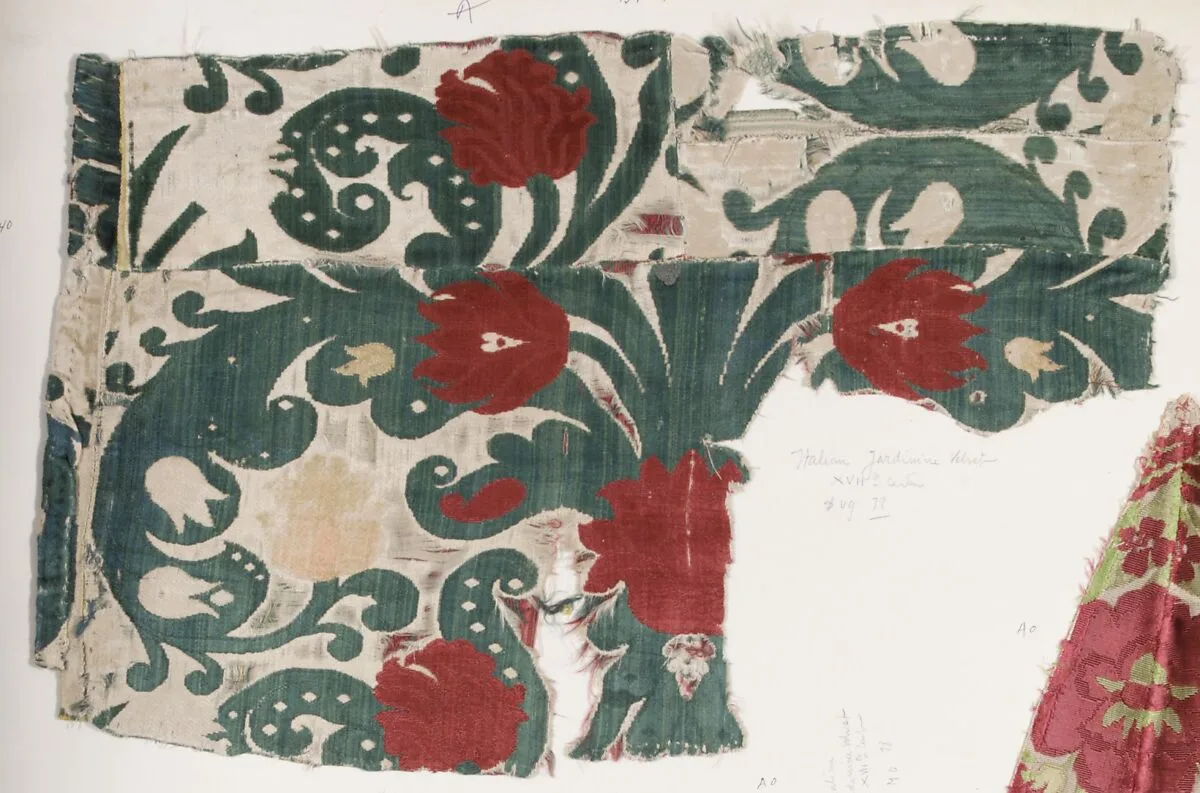 Fragment — Unknown
