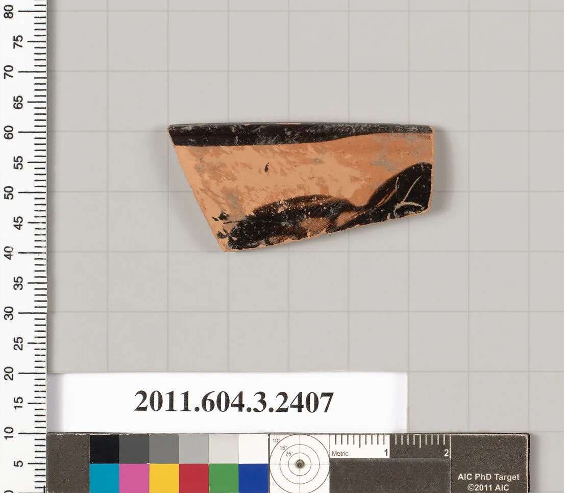 Terracotta rim fragment of a kylix: eye-cup (drinking cup)? — Unknown