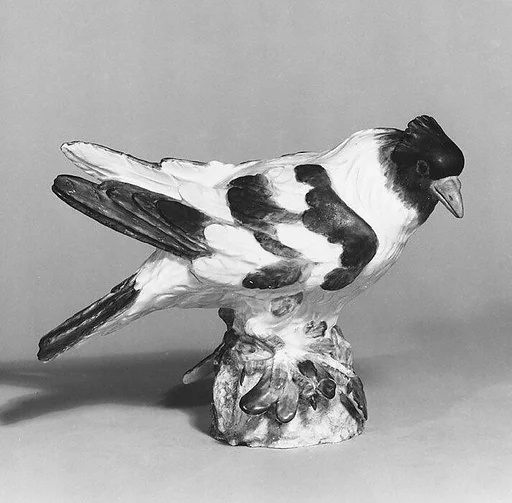 Pigeon (trommeltaube)