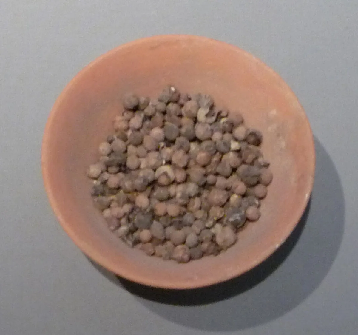 Bowl of Jujubes — Unknown