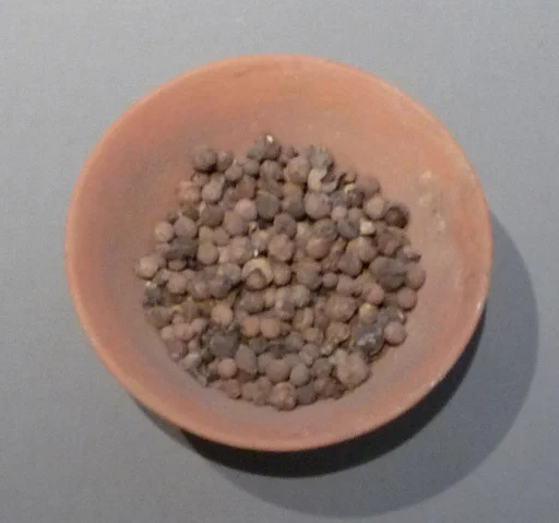 Bowl of Jujubes