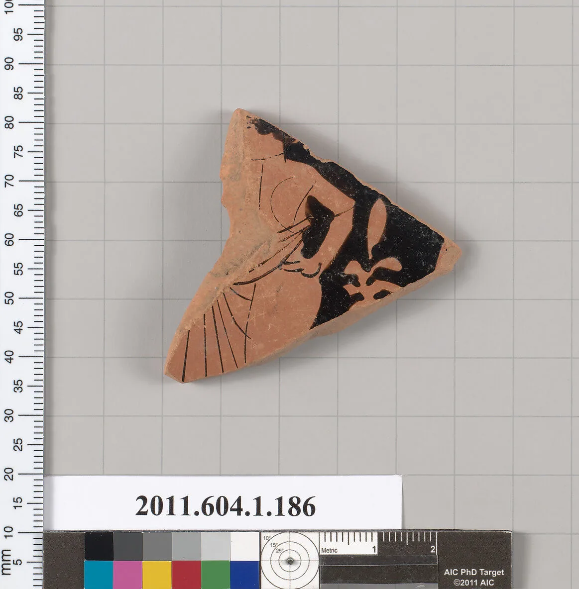 Terracotta fragment of a kylix (drinking cup) — Unknown