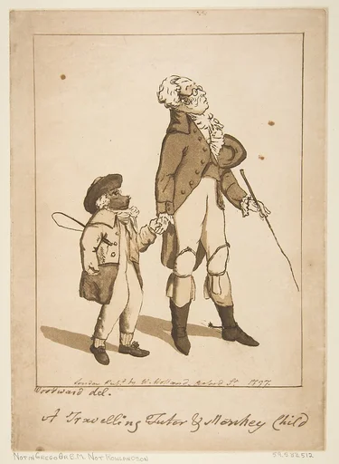 A Travelling Tutor and Monkey Child