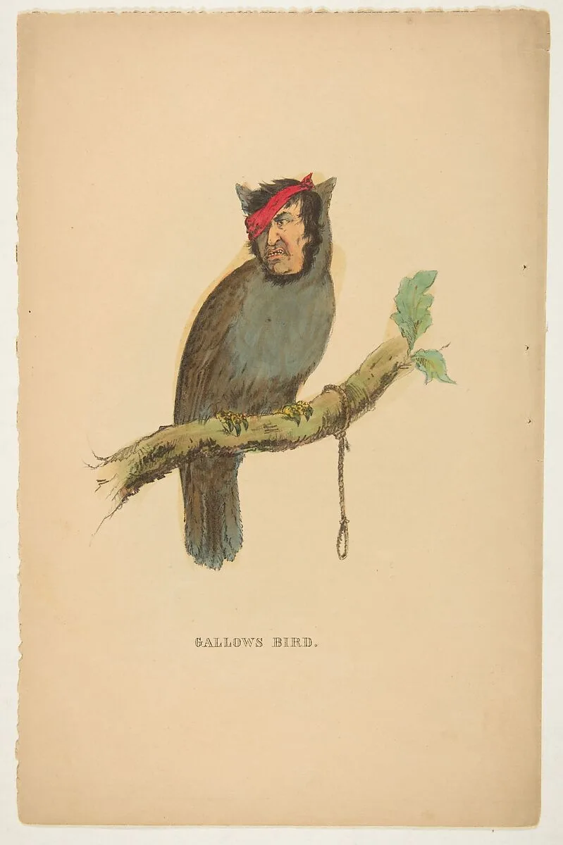 Gallows Bird, from The Comic Natural History of the Human Race — Samuel Robinson|Henry Louis Stephens|Rosenthal