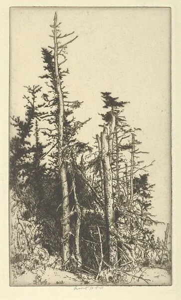 Skeletons — Ernest Haskell