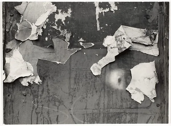 North Carolina 11 — Aaron Siskind