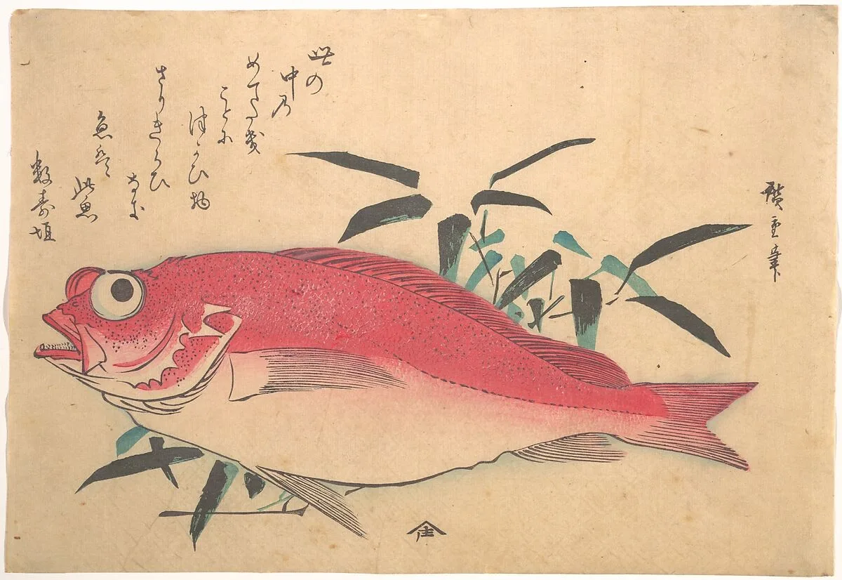 魚づくし|Medetai Fush and Sasaki Bamboo, from the series Uozukushi (Every Variety of Fish) — Utagawa Hiroshige