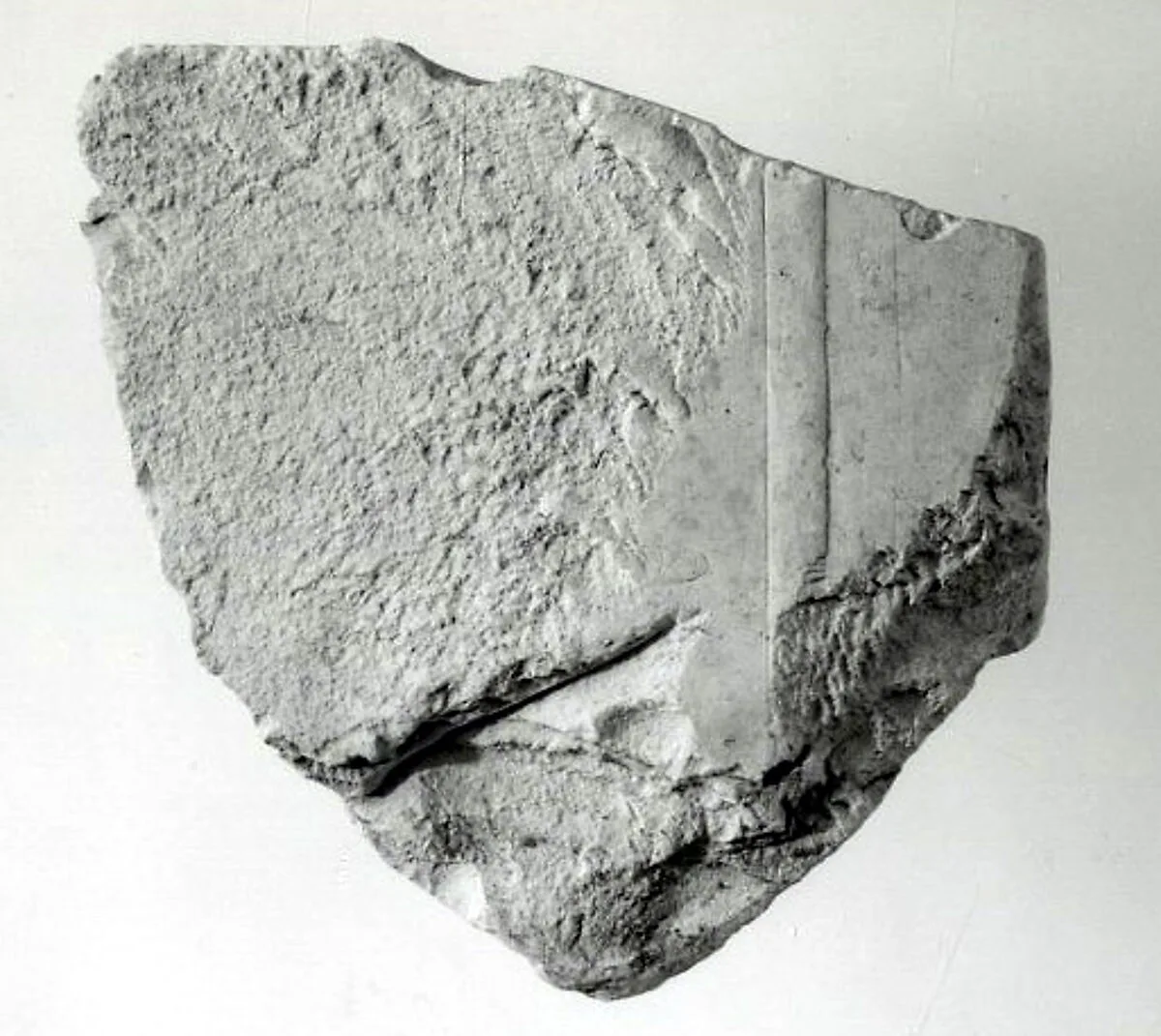 Relief fragment, tomb of Meketre — Unknown
