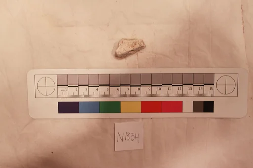 Stucco Fragment