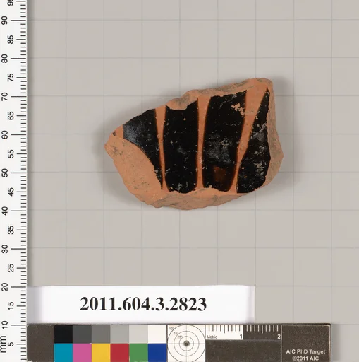 Terracotta fragment from an amphora (jar)?
