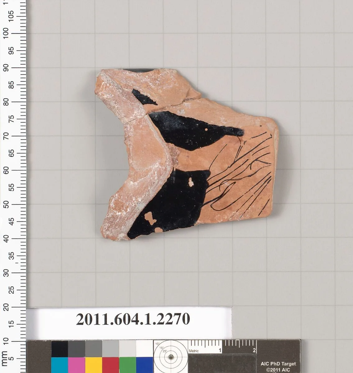 Terracotta rim fragment of a kylix (drinking cup) — Unknown