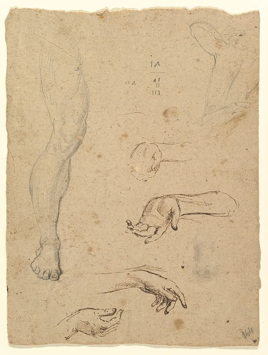 Studies of Legs, Hands, and Torso — Giovanni Larciani ("Master of the Kress Landscapes")