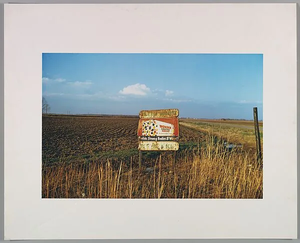 Untitled (Mississippi) — William Eggleston