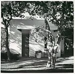 [White Modern Style House and Pine Trees]