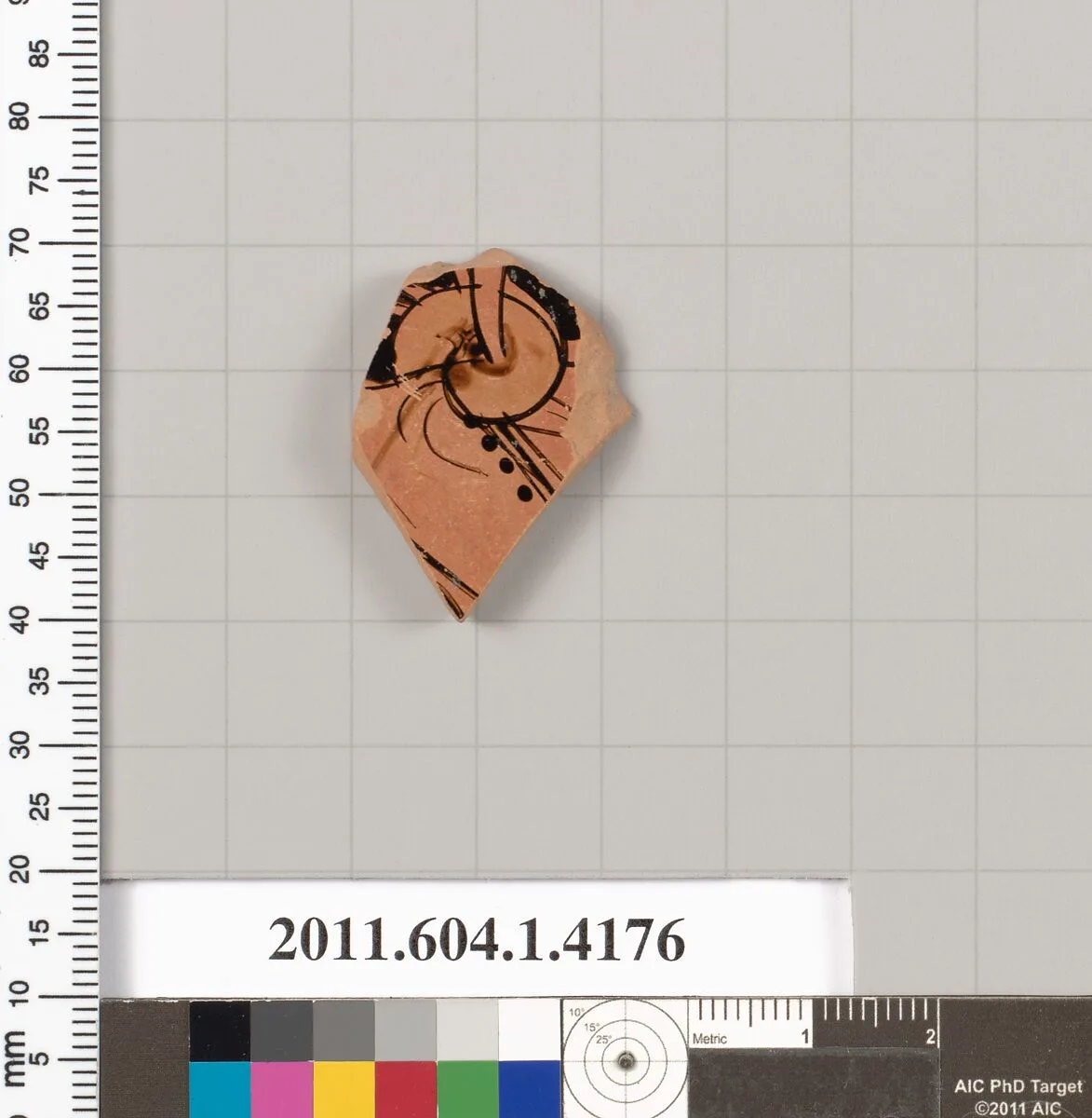 Terracotta fragment of a kylix (drinking cup) — Unknown