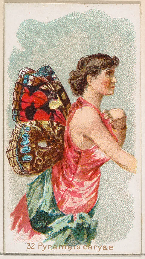 Card 32, Pyrameis Caryae, from the Butterflies series (N183) issued by Wm. S. Kimball & Co. — William S. Kimball & Company|Julius Bien