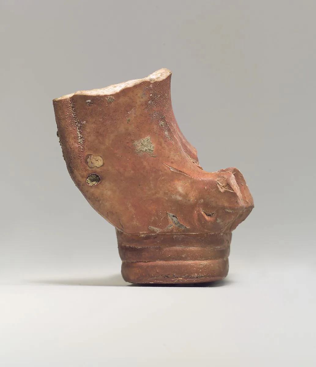 Furniture leg, lion's paw — Unknown
