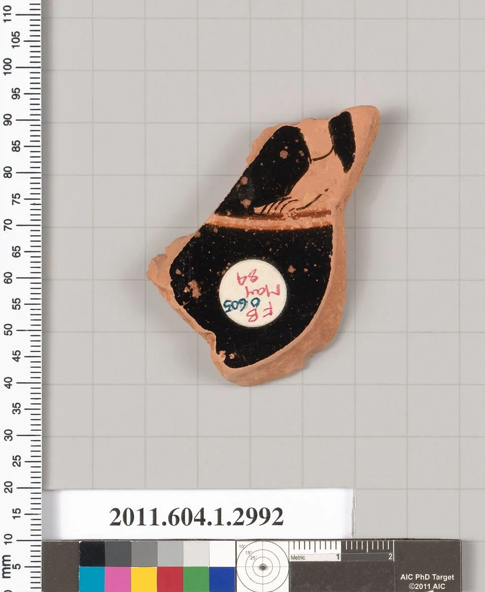 Terracotta fragment of a kylix (drinking cup) — Unknown