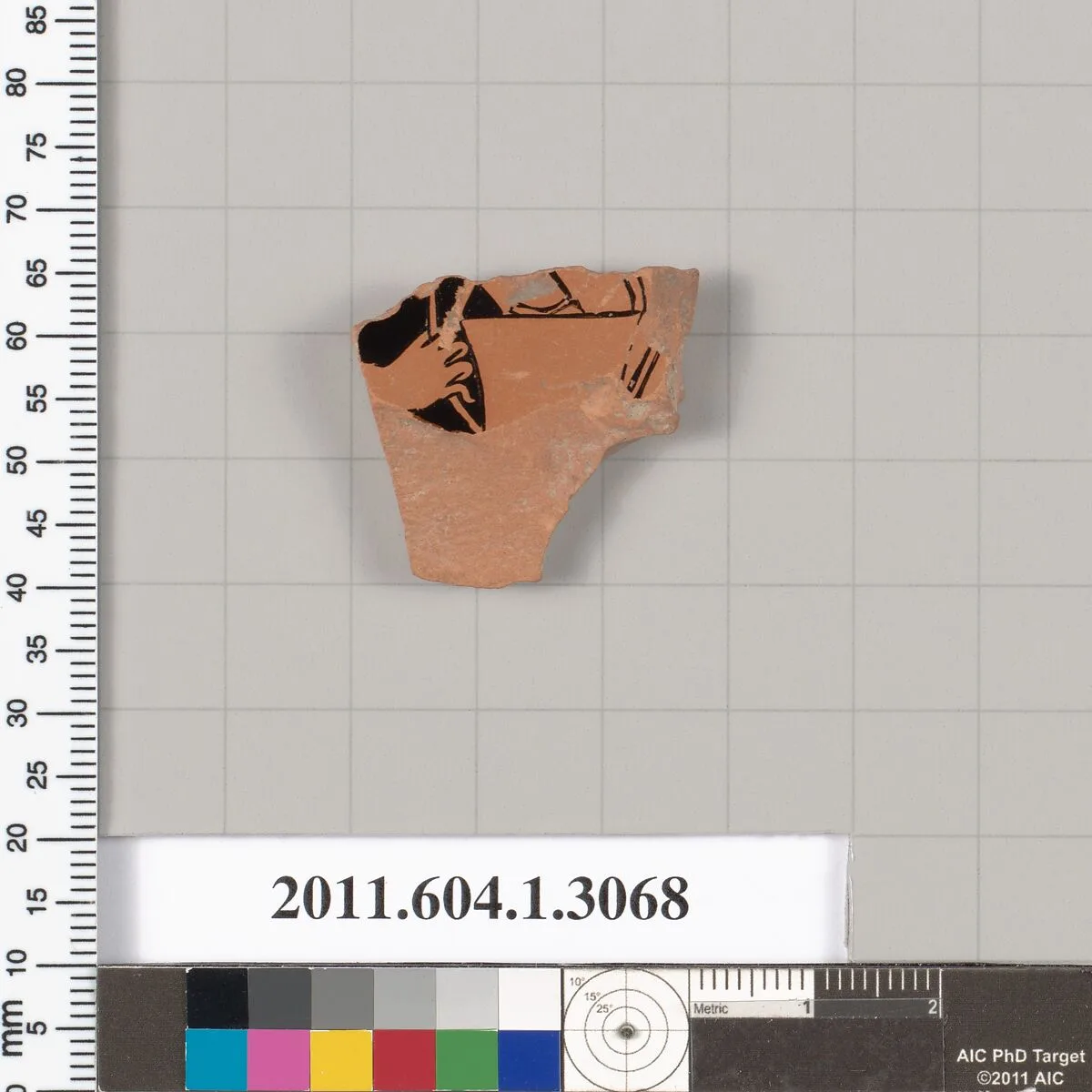 Terracotta fragment of a kylix (drinking cup) — Unknown