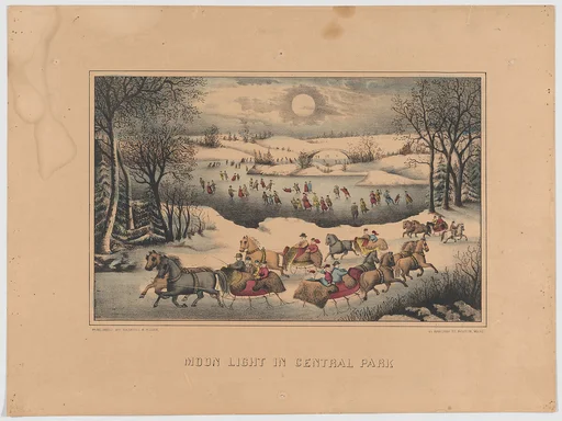 Moon Light in Central Park