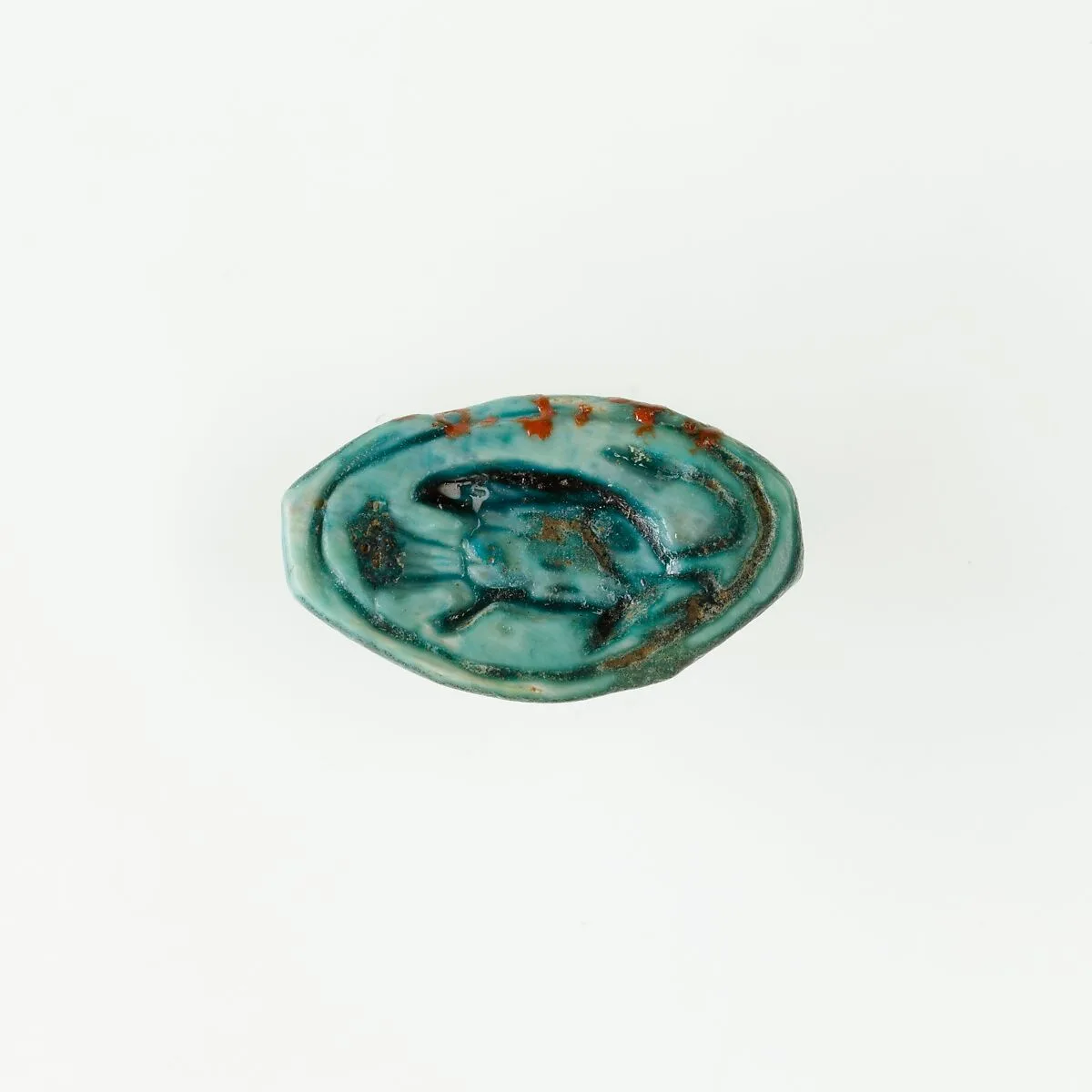 Cowroid Seal-Amulet — Unknown