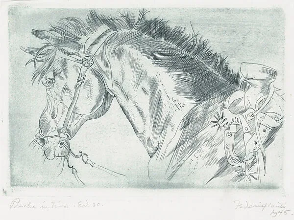 Head of a horse wearing a saddle from which hang spurs — Federico Cantù