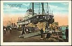 [194 Postcards of Boats Collected by Walker Evans]