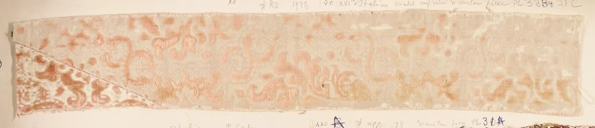 Fragment — Unknown