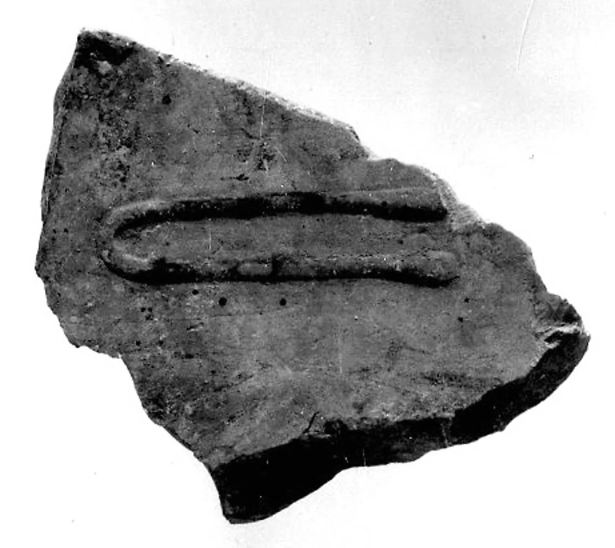 Relief fragment, tomb of Meketre — Unknown