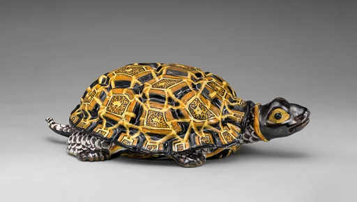 Tortoise box