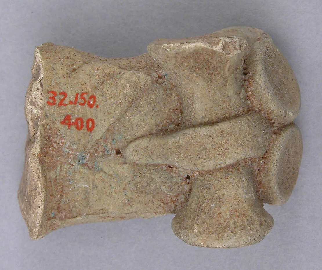 Fragment — Unknown