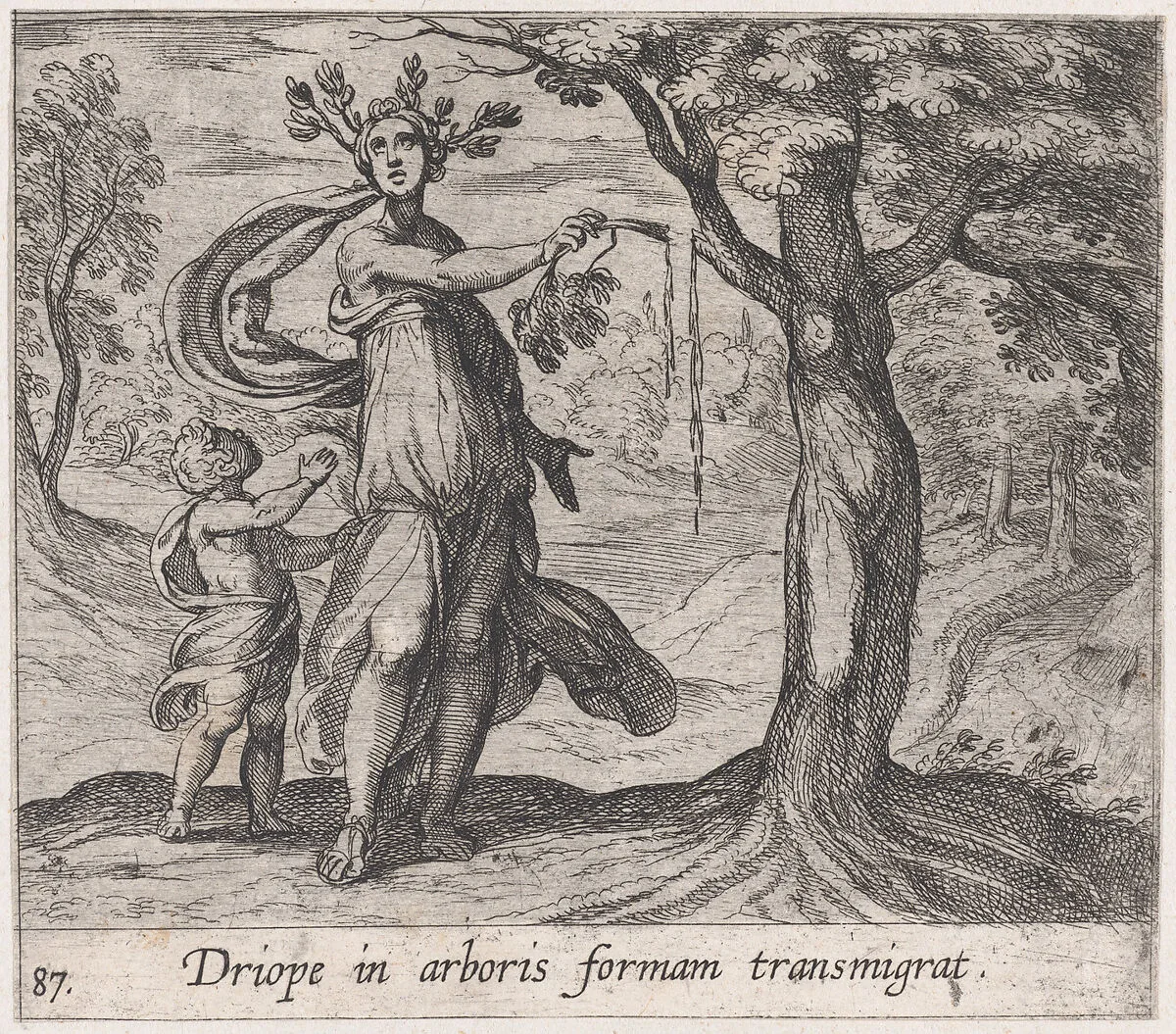 Plate 87: Dryope Changed into a Lotus Tree (Driope in arboris formam transmigrat), from Ovid's 'Metamorphoses' — Antonio Tempesta