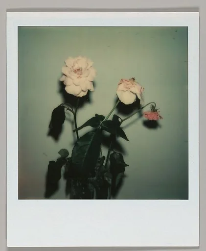 [Floral Still-Life]