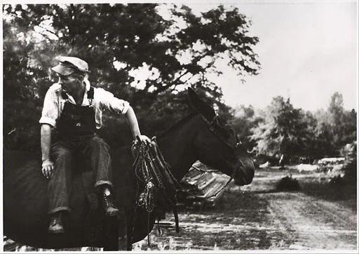 After Walker Evans: 13