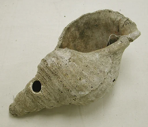 Trumpet  (Tutue [?])