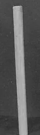 Wind Instrument — Unknown