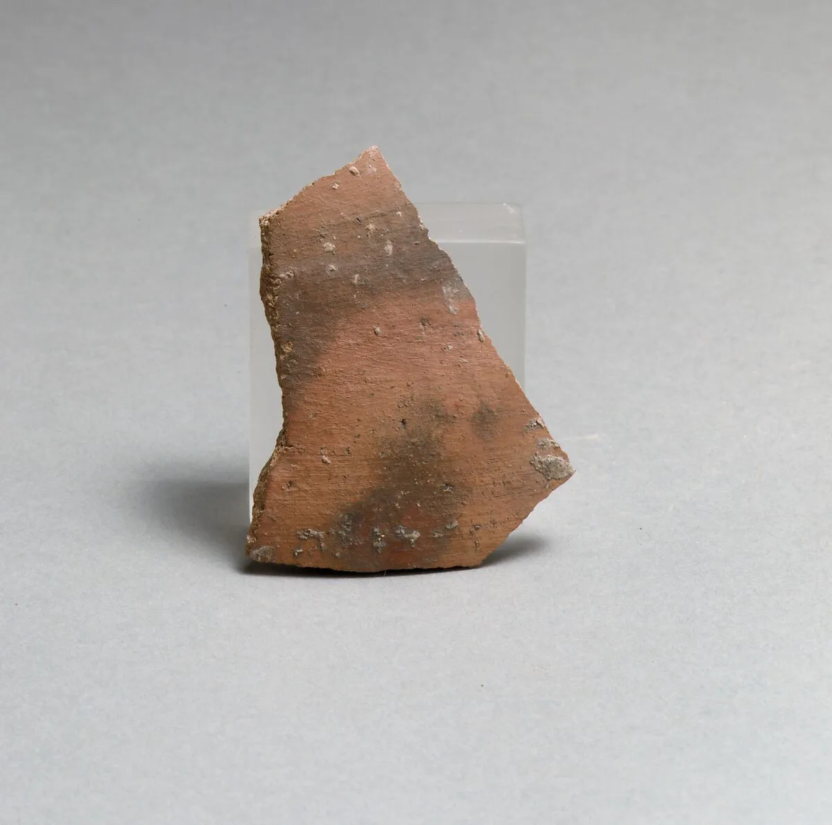 Vase fragment — Unknown