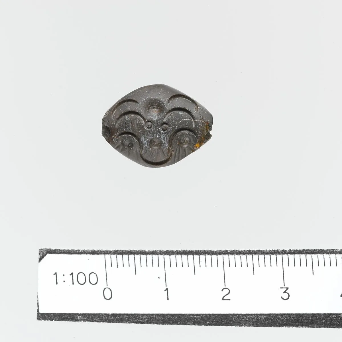 Seal — Unknown