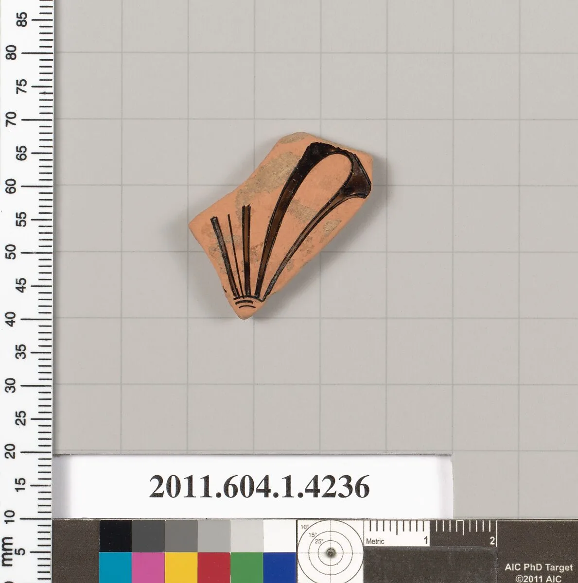 Terracotta fragment of a kylix (drinking cup) — Unknown