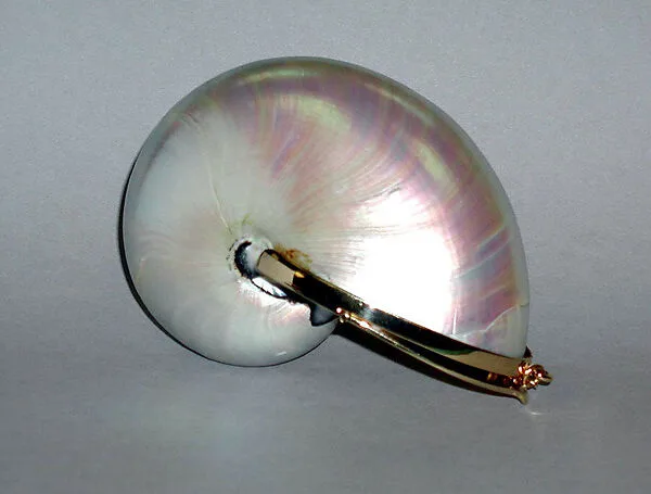 Evening bag — Judith Leiber|Judith Leiber Couture Ltd.