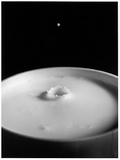 [Milk Drop Falling Into Reservoir of Milk (1/9)]