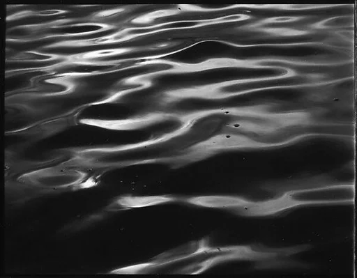 [Water, From Dayboat in Everglades, Florida]
