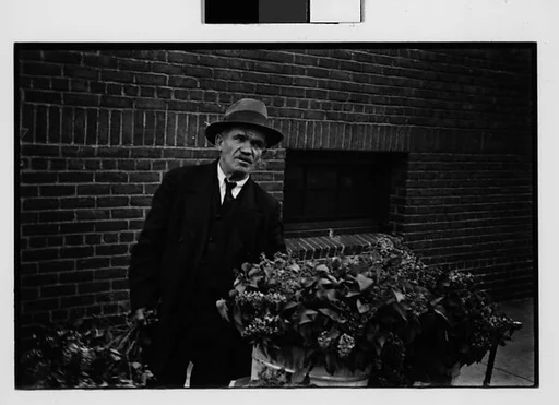 [Two 35mm Film Frames: Vendor with Flowers in Baby Carriage on Sidewalk]