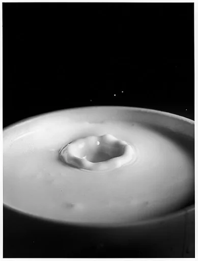 [Milk Drop Falling Into Reservoir of Milk (3/9)]