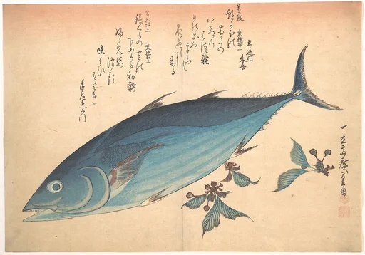 魚づくし 鰹に桜|Katsuo Fish with Cherry Buds, from the series Uozukushi (Every Variety of Fish)