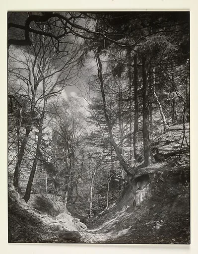 Footpath in the Siebengebirge