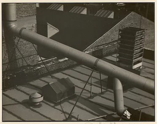 Roof From My Studio in Hollywood